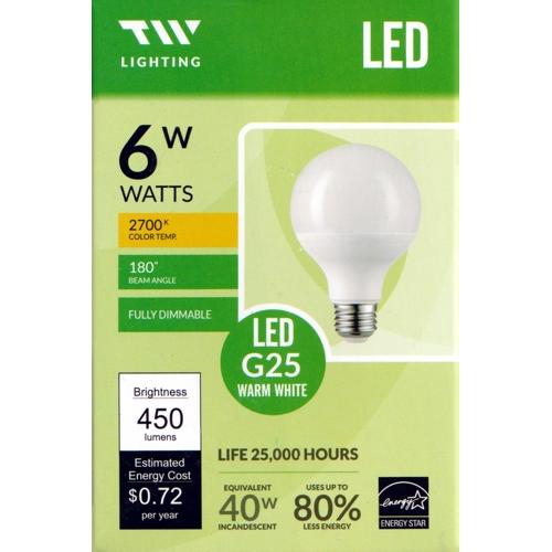 TW Lighting 6W LED Globe G25 Light Bulb Fully Dimmable Warm White (1 Pack) - DollarFanatic.com